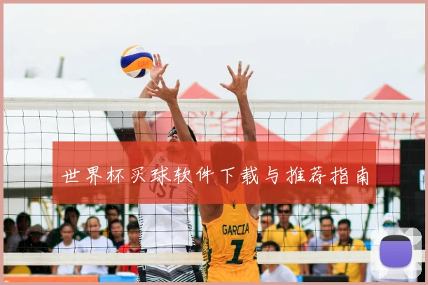 世界杯买球软件下载与推荐指南