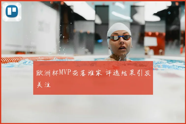 欧洲杯MVP花落谁家 评选结果引发关注